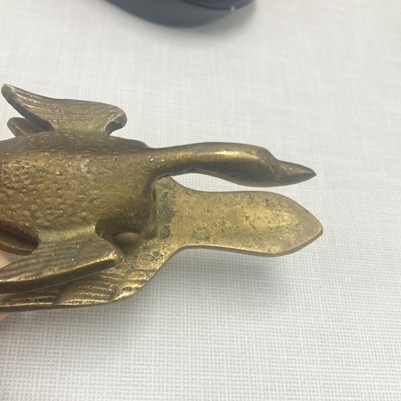 Bird - Picture 2 of 3